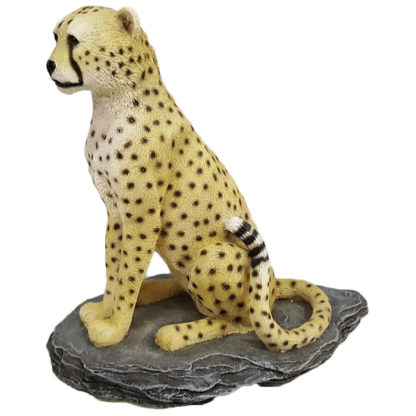 Living Stone Generations Cheetah ML