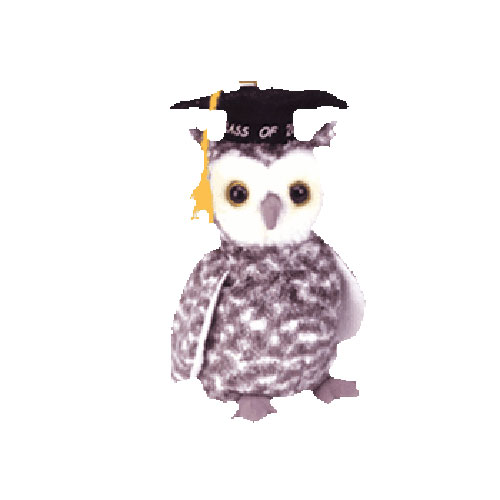 TY Beanie – Smart the 2001 Owl (6 inch) – Song's Gift Nook
