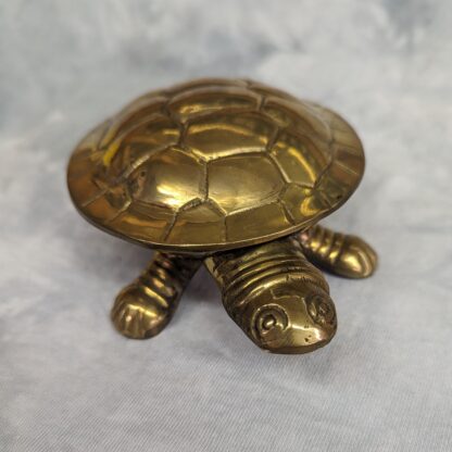 Brass turtle box - front