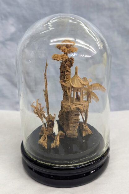 Chinese Cork Display in glass dome, side